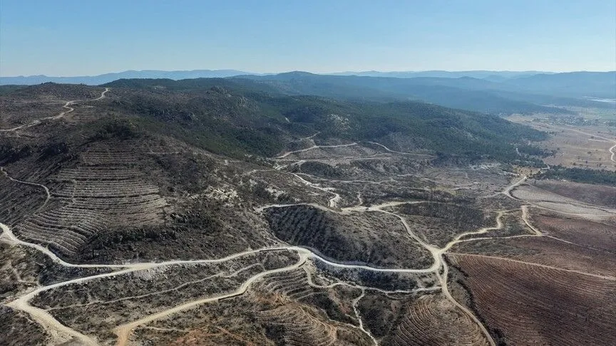 Afyonkarahisar'da, Eber Gölü'ndeki sazlık ile Sarıcaova'daki yangından etkilenen ormanlık alanlarda