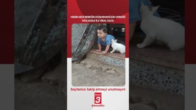 Kanal 3Paz, Ekim 11, 2026 12:00pmURL:Embed:Minik kedi bebeğin düşmemesi için