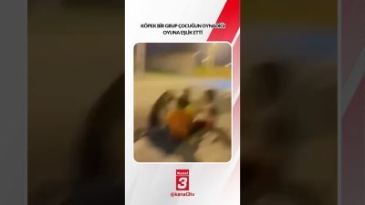 Kanal 3Çar, Ekim 21, 2026 8:00amURL:Embed:Köpek bir grup çocuğun oynadığı
