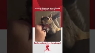 Kanal 3Pts, Ekim 5, 2026 10:00amURL:Embed:İlk defa sevilen sincap, sevilmenin