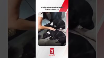 Kendini besleyen kadının alnını öperek teşekkür etti… 📶https://kanal3.com.tr/ Sosyal Medya
