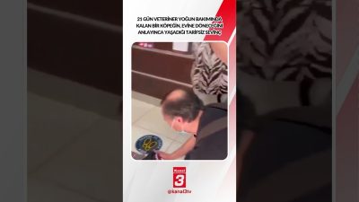 Kanal 3Per, Ekim 15, 2026 2:00pmURL:Embed:21 gün veteriner yoğun bakımında